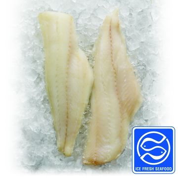 Haddock Skinless Pinbone-In (FI861I)