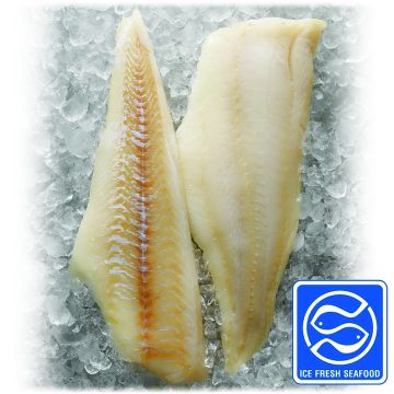 Cod Skinless Pinbone-In (FJ041I)